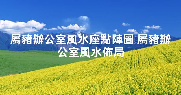 屬豬辦公室風水座點陣圖 屬豬辦公室風水佈局